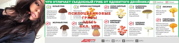 прущая мука Бронницы