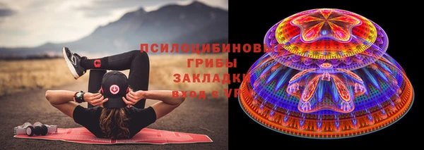 спиды Киреевск